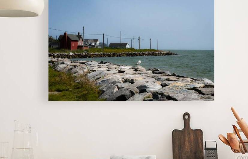 Hoopers Island Maryland by Margot Lily