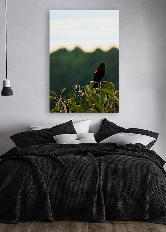 Redwing Black Bird by Margot Lily
