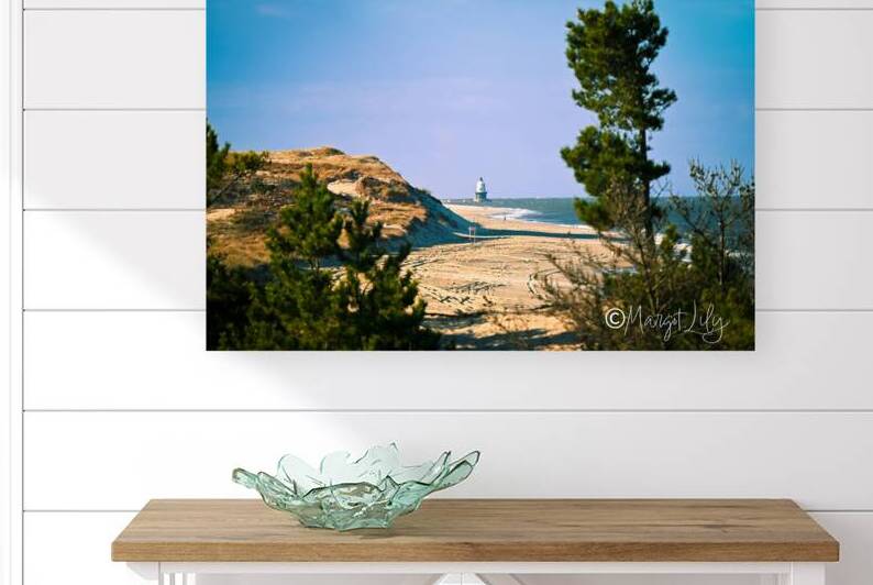Cape Henlopen by Margot Lily