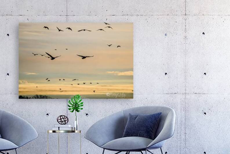 Snow Geese by Margot Lily