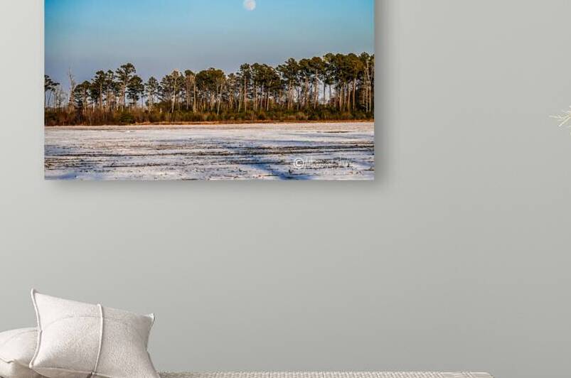 Moon Rising Reproduction