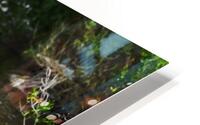 Blue Heron HD Metal print