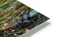 Egret HD Metal print