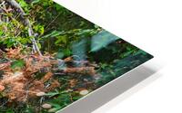 Blue Heron HD Metal print