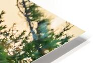 Winter Dunes HD Metal print