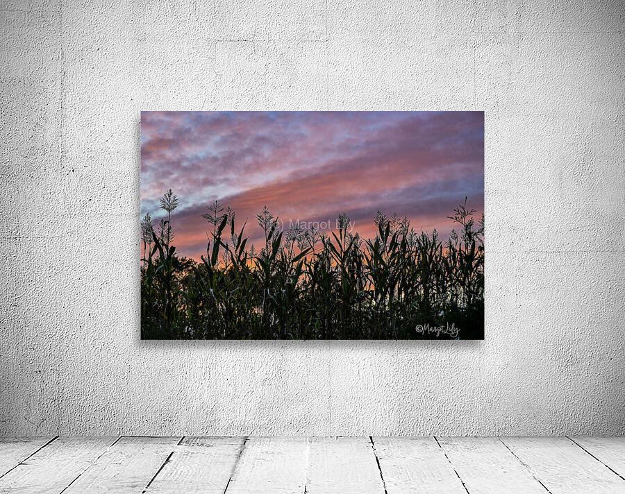 Delaware Sunset Wall Preview