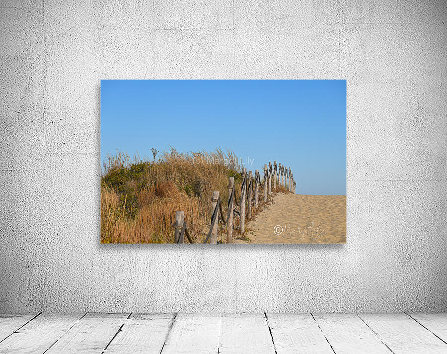 Cape Henlopen Wall Preview