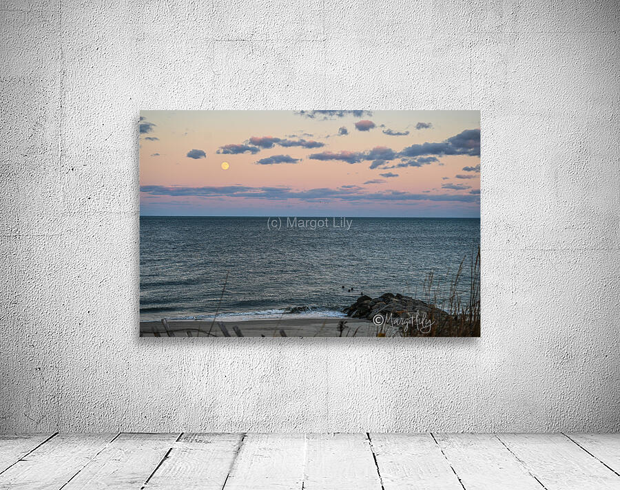 Cape Henlopen Wall Preview