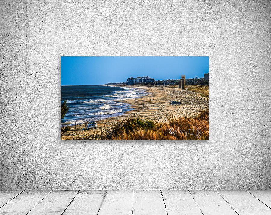 Cape Henlopen Wall Preview