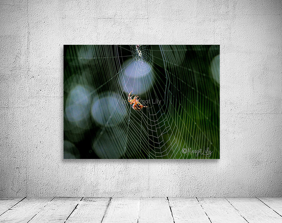 Spider Wall Preview
