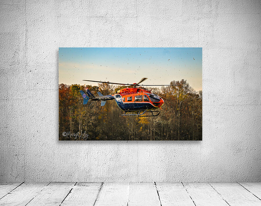 Life Net-Helicopter Wall Preview