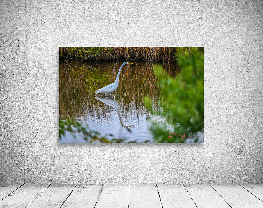 Egret Wall Preview