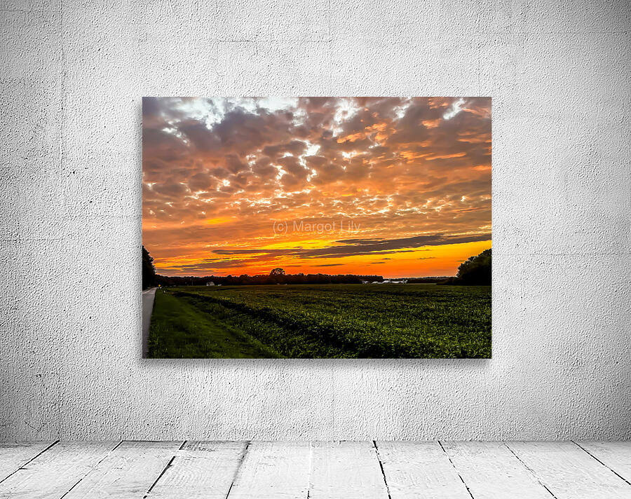 Pocomoke Sunset Wall Preview