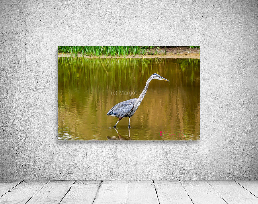 Blue Heron Wall Preview