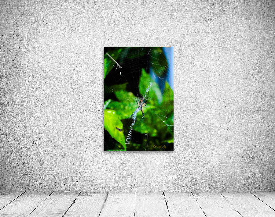 Garden Spider Wall Preview