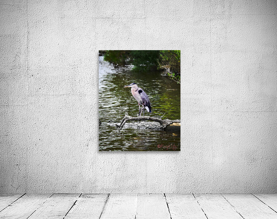 Blue Heron Wall Preview
