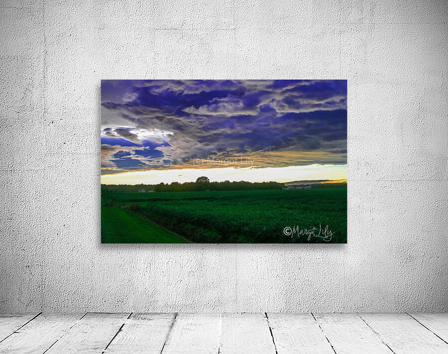Sunset over Pocomoke Wall Preview