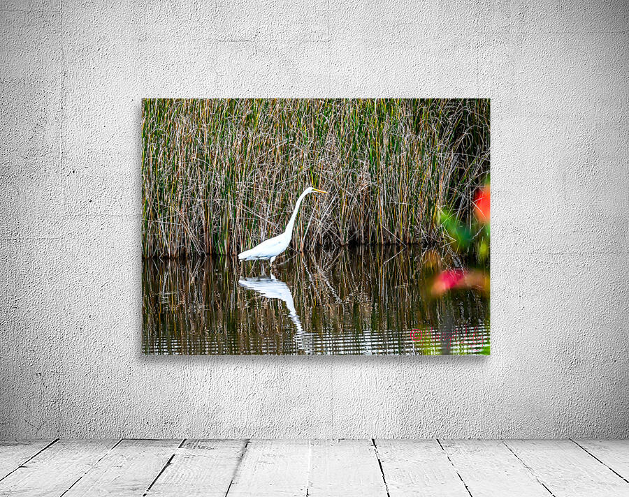 Egret Wall Preview
