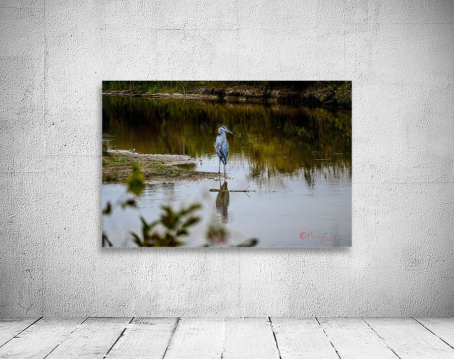 Blue Heron Wall Preview