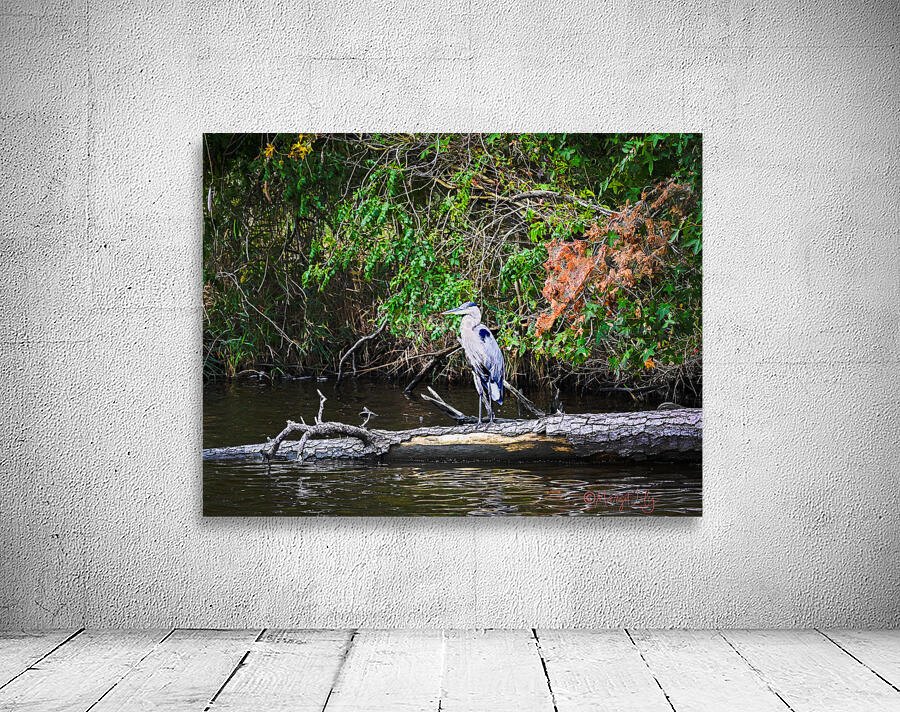 Blue Heron Wall Preview