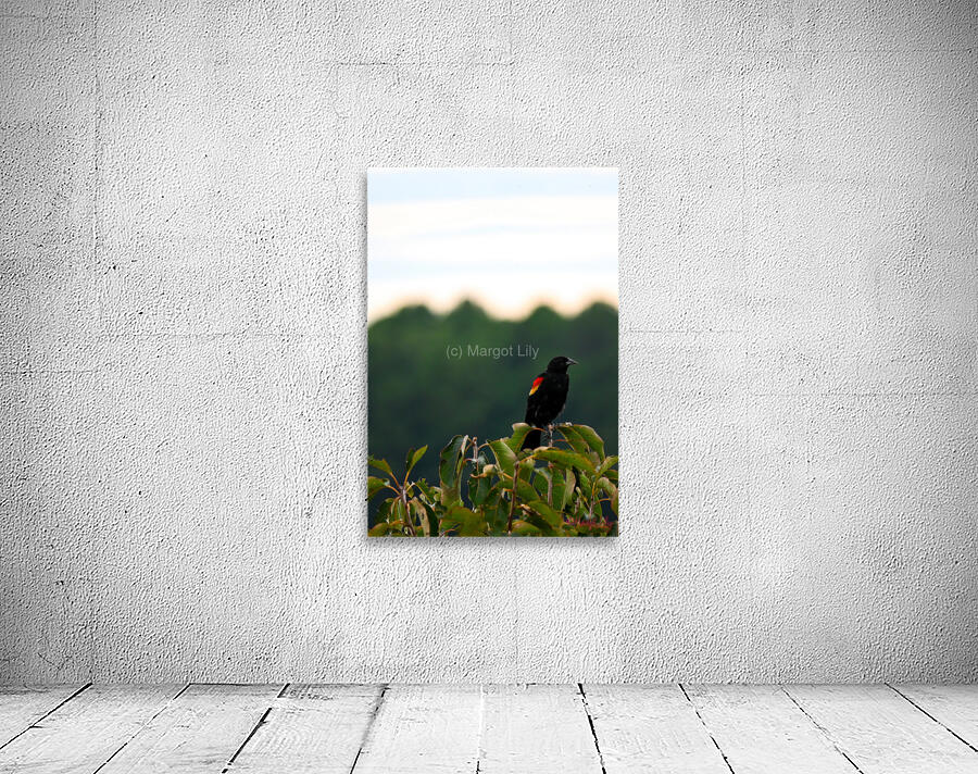 Redwing Black Bird Wall Preview