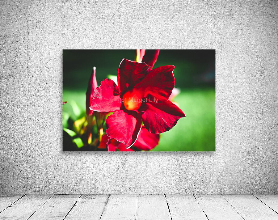 Summer Flowers Wall Preview