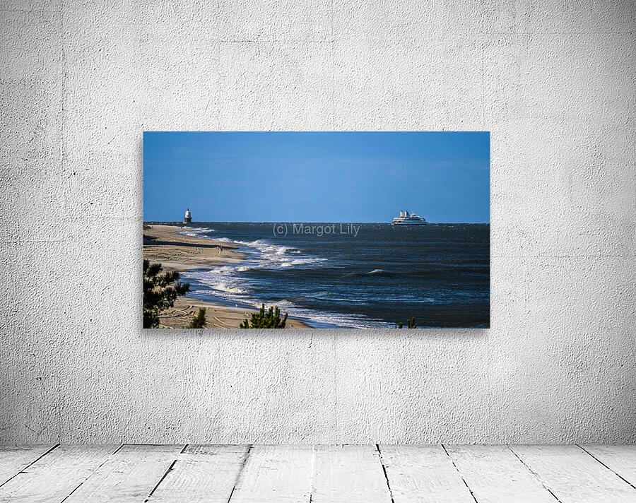 Cape Henlopen Wall Preview