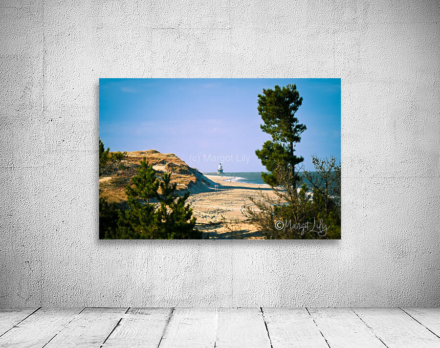Cape Henlopen Wall Preview