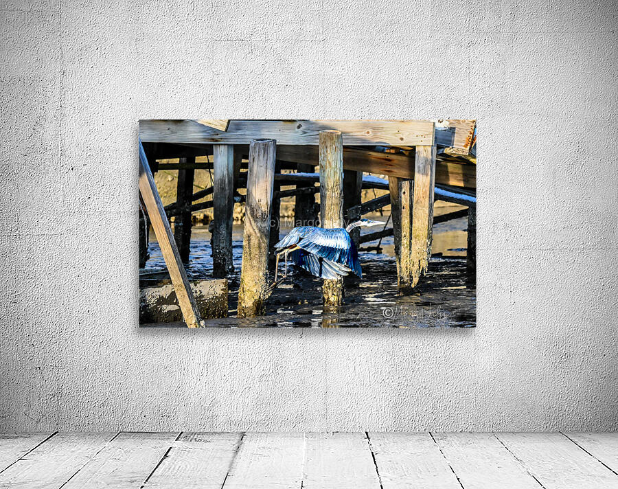 Heron Wall Preview