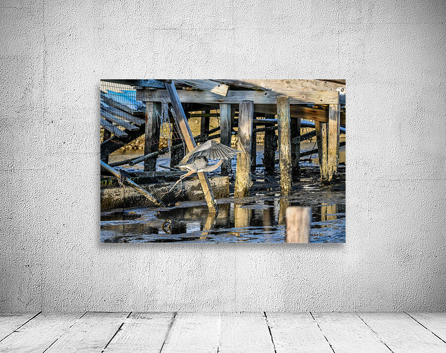 Heron Wall Preview