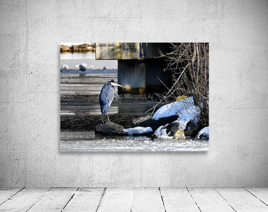 Grumpy Heron Wall Preview