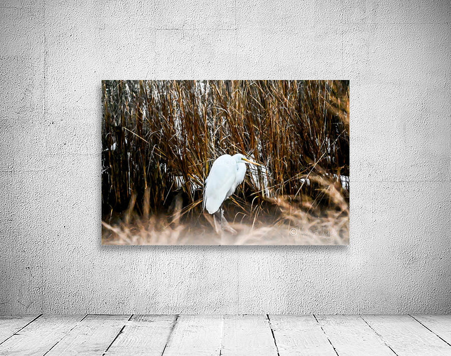 Great Egret Wall Preview