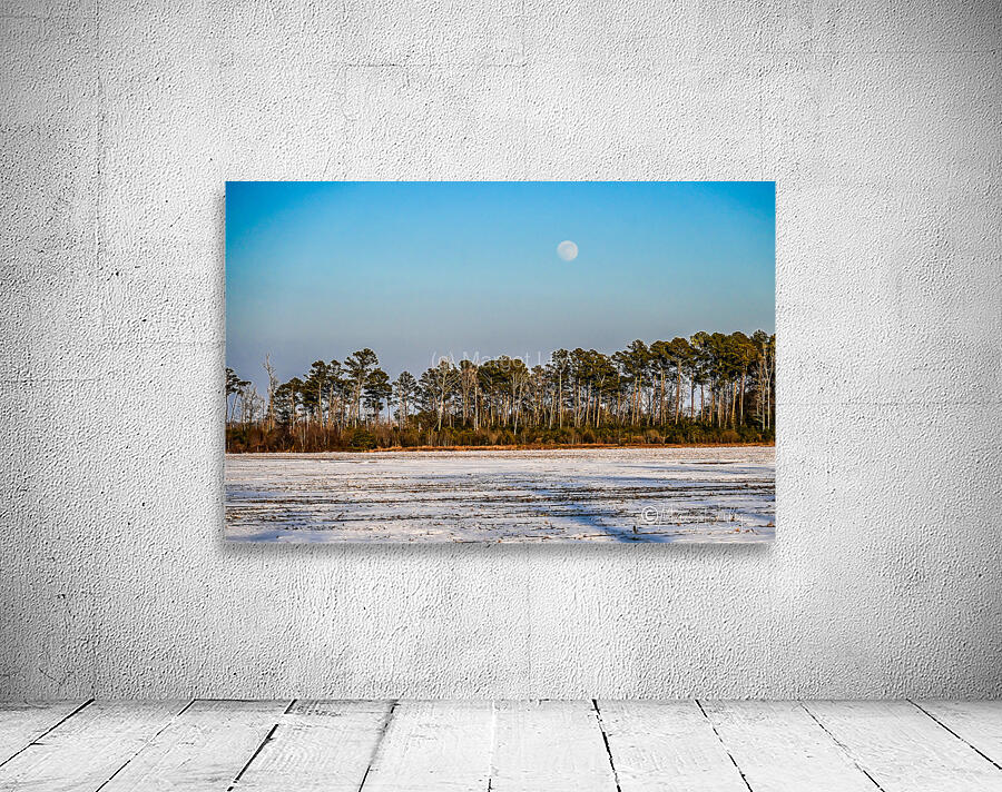 Moon Rising Wall Preview