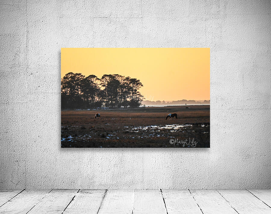 Sunset over Chincoteague Wall Preview