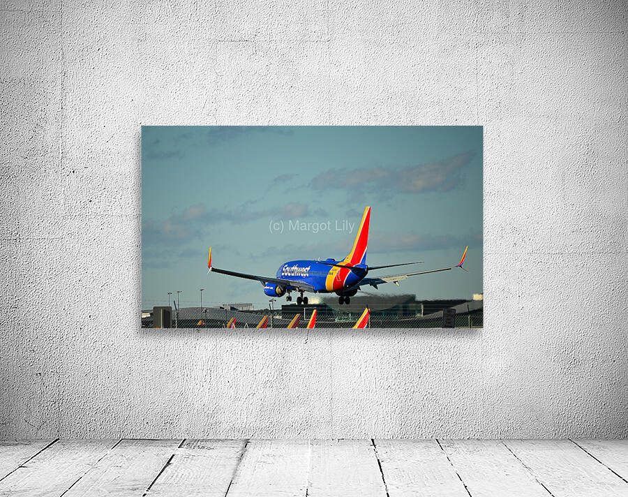 Planes landing Wall Preview