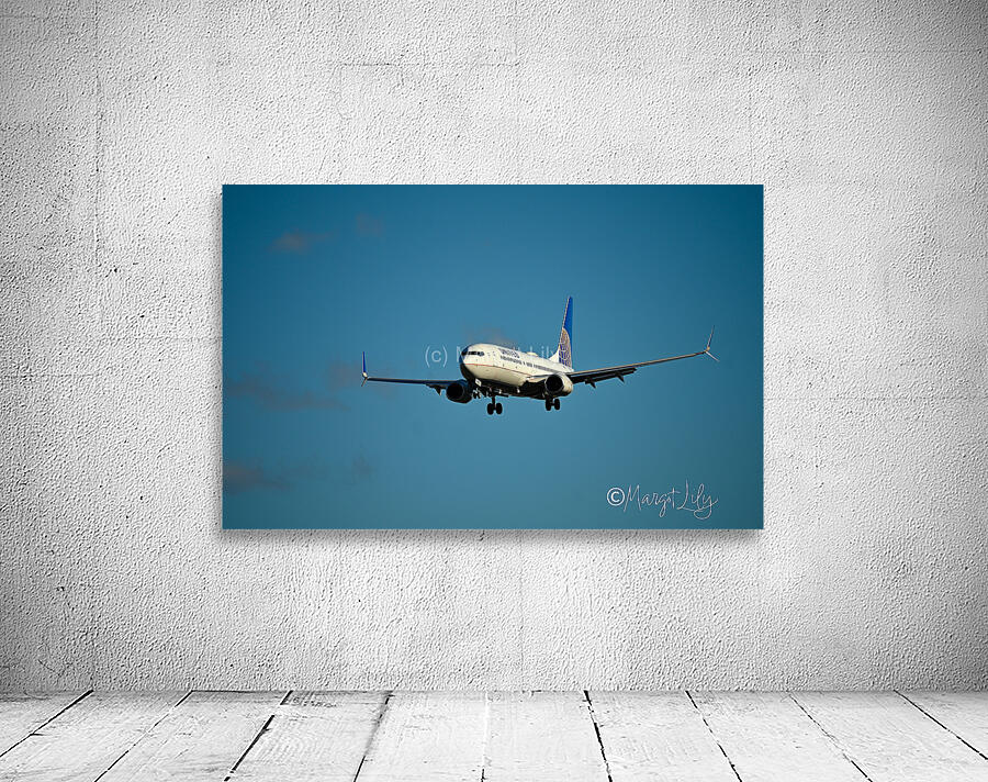 Planes landing Wall Preview