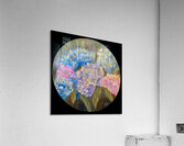 IMG 0910 Acrylic Print