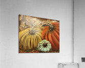 Pumpkin Trio - John Byerly Acrylic Print