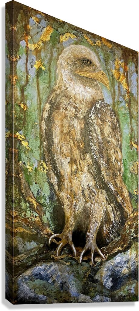 American Bald Eagle - John Byerly Canvas Print