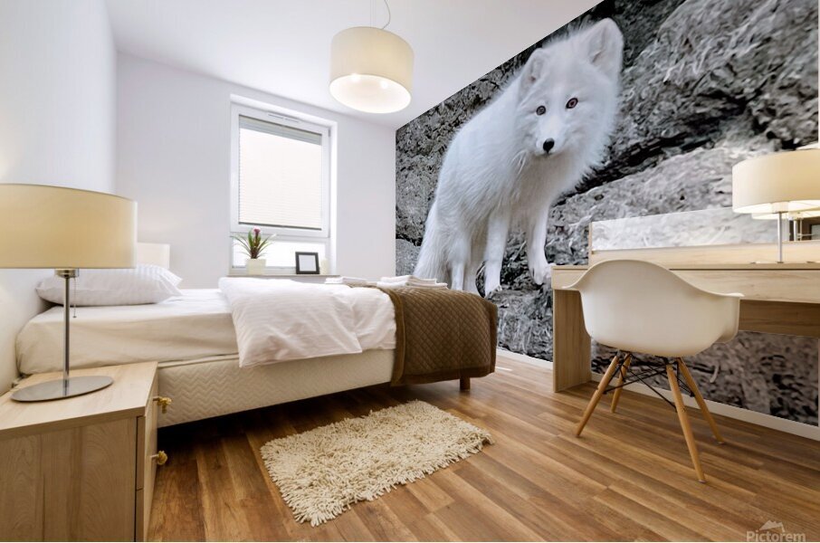 Arctic Fox 2023 Mural print