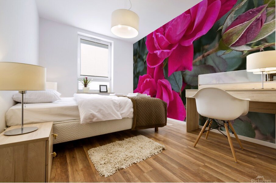 The Rose Mural print