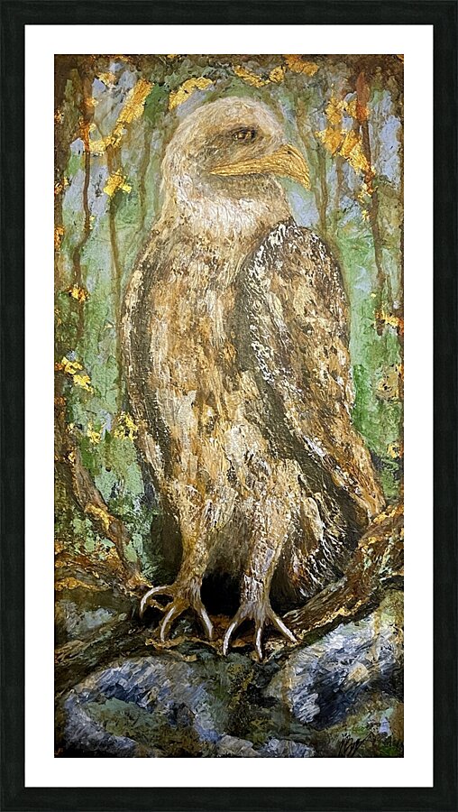 American Bald Eagle - John Byerly Picture Frame print