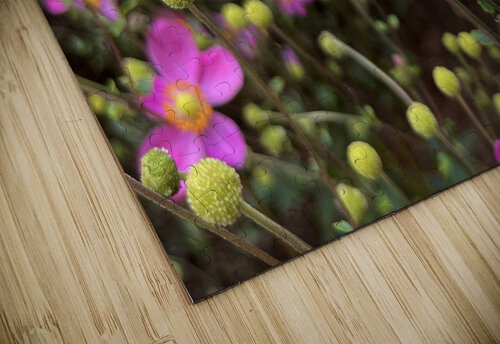 Zinnia John Byerly puzzle