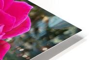 The Rose HD Metal print