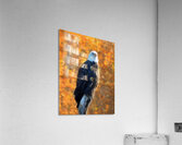 Autumn Eagle Acrylic Print