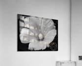 Lavatera  Acrylic Print