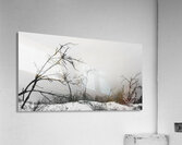 Dark Winter Acrylic Print