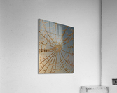 Crystal Web Acrylic Print