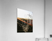 Cobweb Valley Acrylic Print