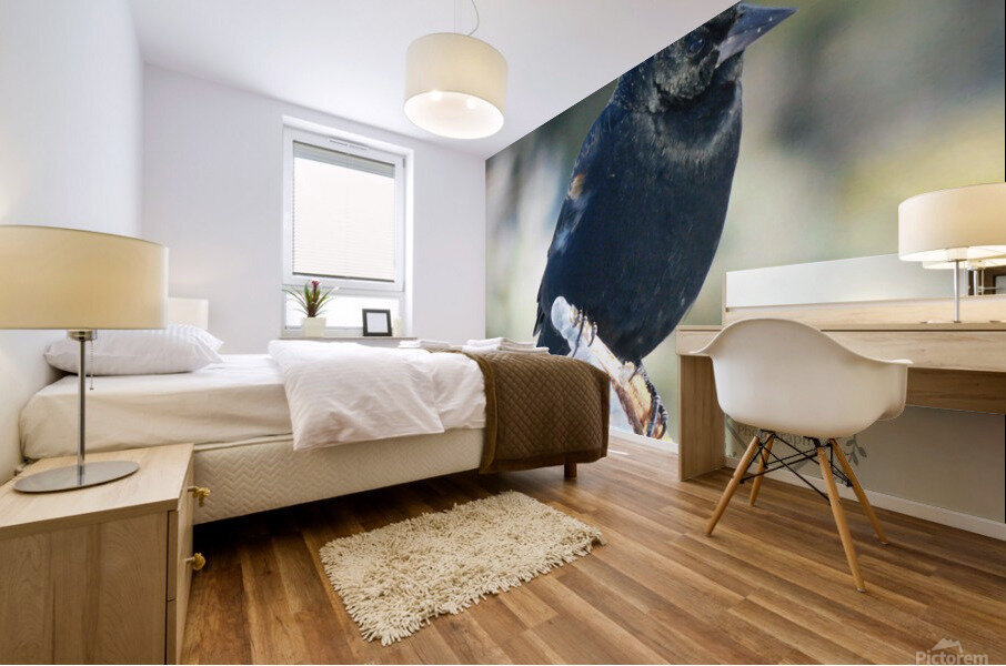 Chilly Blackbird Mural print